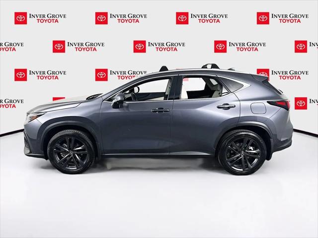 2025 Lexus NX Luxury