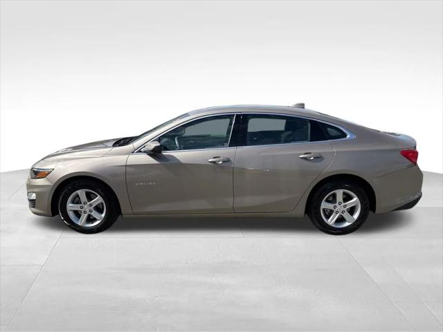 2024 Chevrolet Malibu FWD 1LT 2024 Chevrolet Malibu FWD 1LT