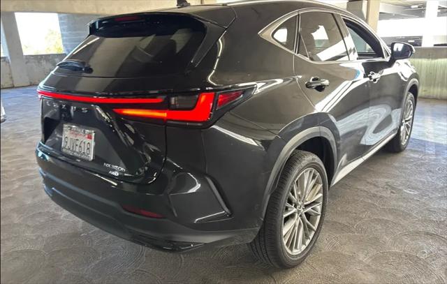 2024 Lexus NX 350h Luxury