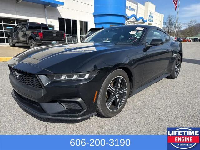 2024 Ford Mustang EcoBoost Premium Fastback for sale in Ivel, KY