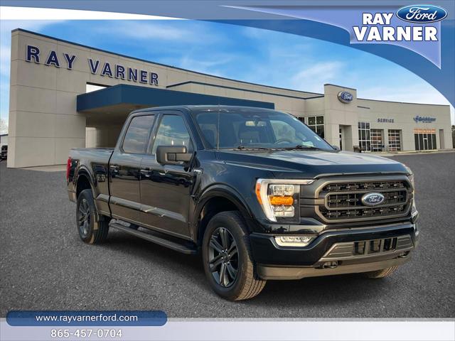 2023 Ford F-150 XLT for sale in Clinton, TN