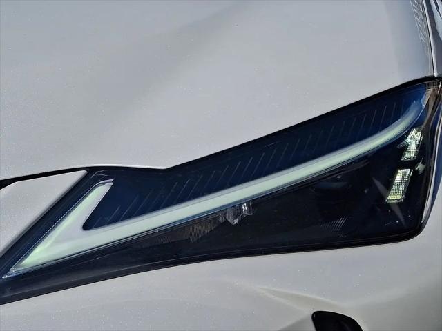 2025 Lexus 300 Premium