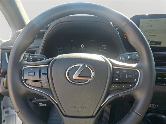 2025 Lexus 300 Premium