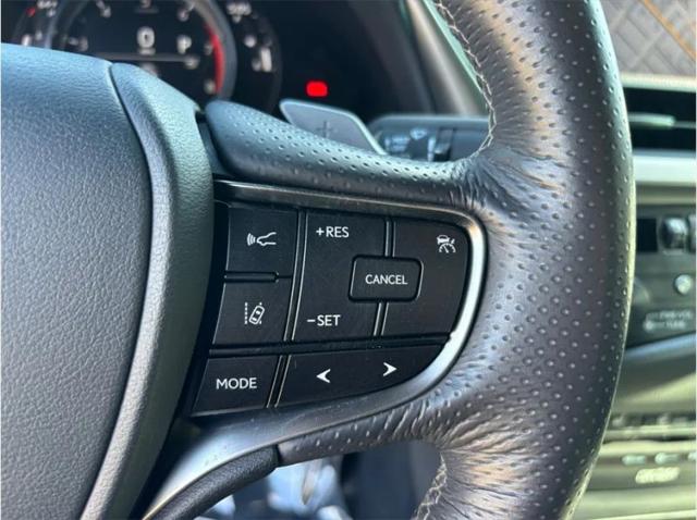 2020 Lexus ES 350 F SPORT