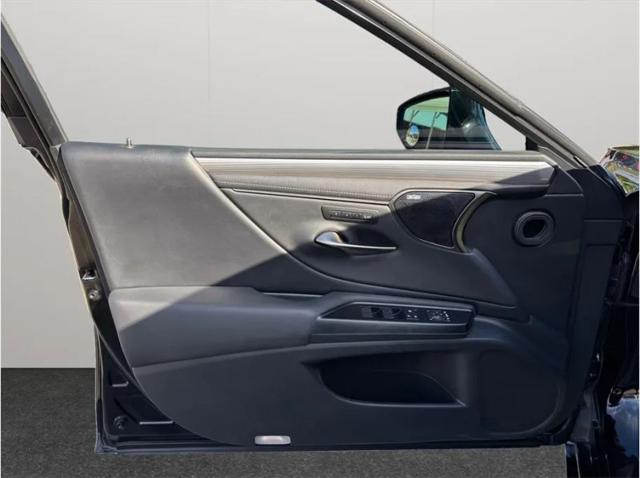 2020 Lexus ES 350 F SPORT