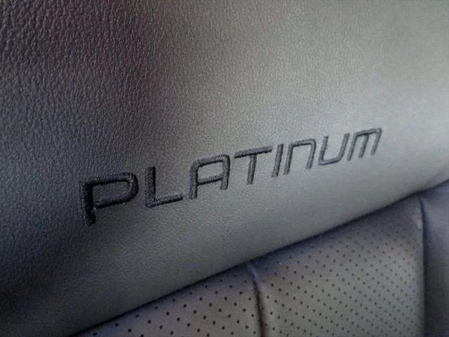 2013 Ford F-150 Platinum