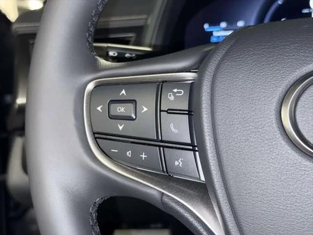 2026 Lexus 300 Premium AWD