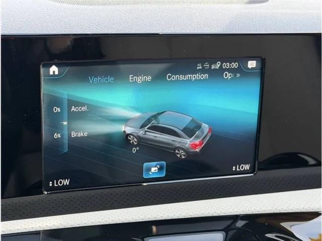 2019 Mercedes-Benz A 220 A 220