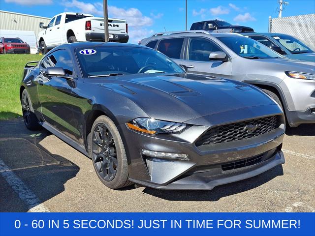 2019 Ford Mustang EcoBoost 2019 Ford Mustang EcoBoost