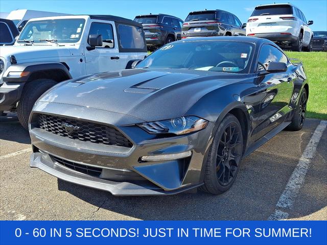 2019 Ford Mustang EcoBoost 2019 Ford Mustang EcoBoost