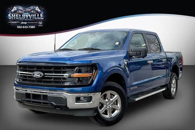 2024 Ford F-150 XLT for sale in Shelbyville, KY