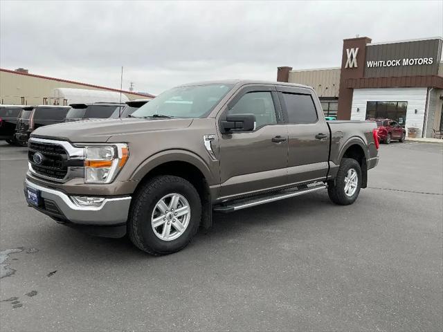 2022 Ford F-150 XLT for sale in Cody, WY