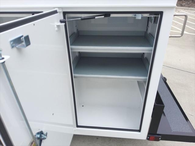 2025 Ford Transit Chassis Base