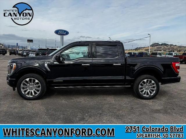 2023 Ford F-150 Limited