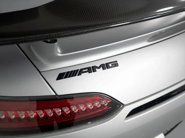 2018 Mercedes-Benz AMG GT AMG GT R