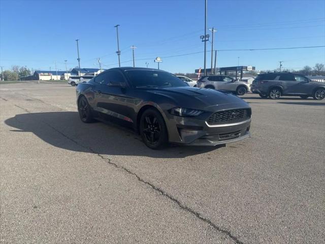 2019 Ford Mustang EcoBoost for sale in Madisonville, KY