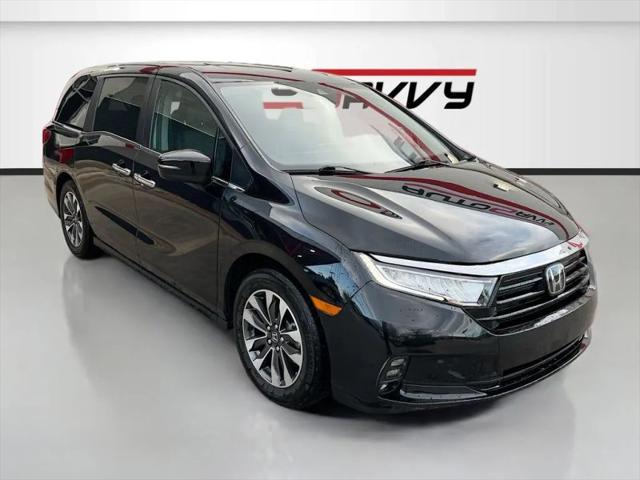 2024 Honda Odyssey EX-L for sale in Windsor, CO