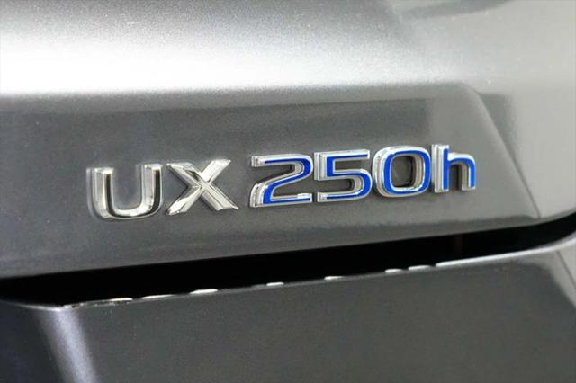 2021 Lexus UX 250h 250h