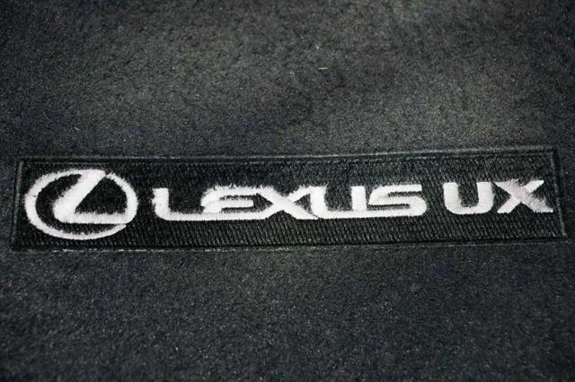 2021 Lexus UX 250h 250h