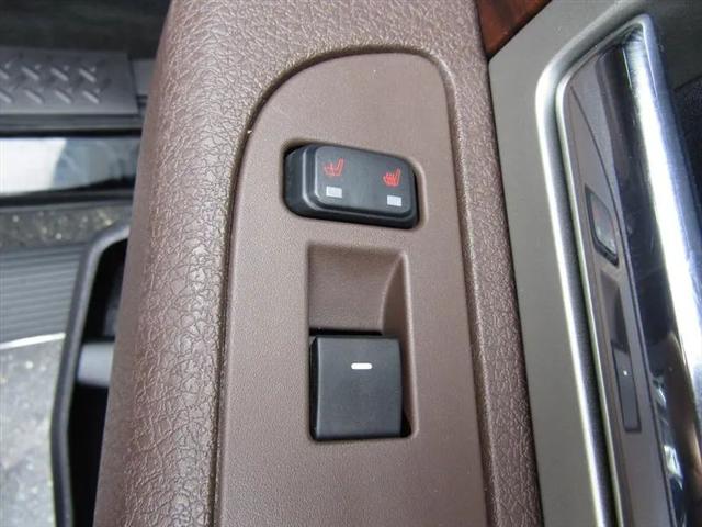 2010 Ford F-150 Platinum