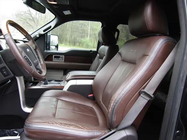 2010 Ford F-150 Platinum