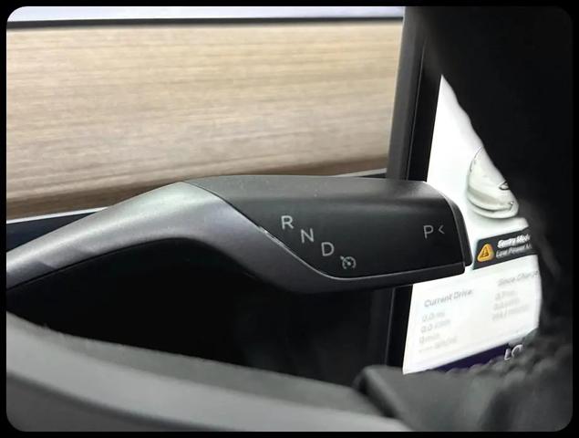 2022 Tesla Model 3 Rear-Wheel Drive