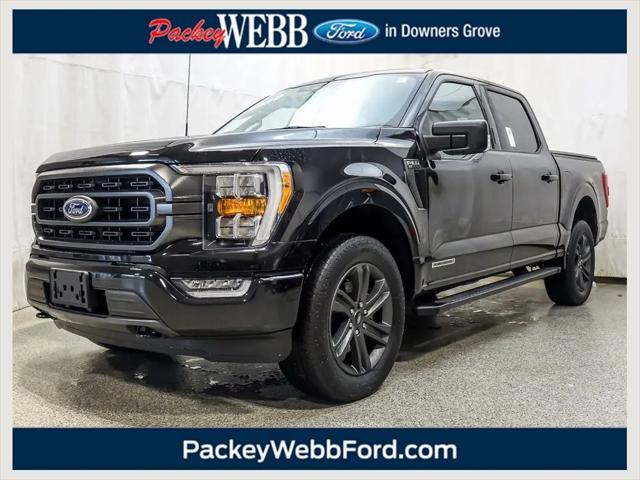 2023 Ford F-150 XLT for sale in Downers Grove, IL