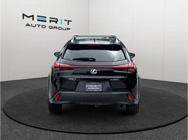 2021 Lexus UX 250h 250h
