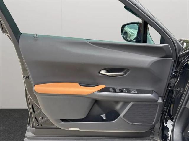 2021 Lexus UX 250h 250h
