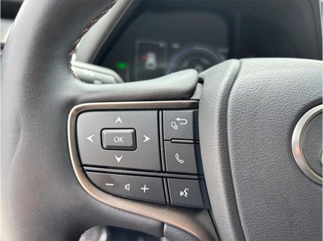 2021 Lexus UX 250h 250h