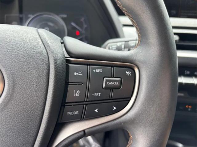 2021 Lexus UX 250h 250h