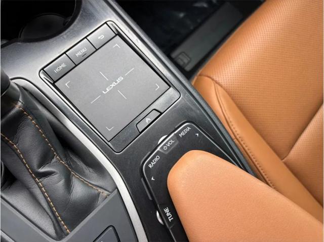 2021 Lexus UX 250h 250h