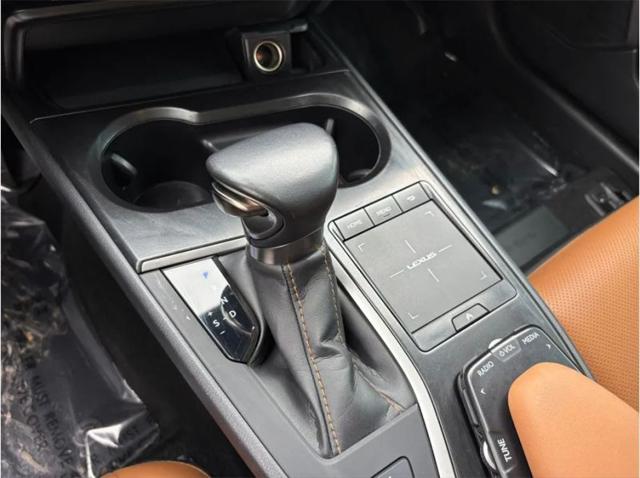 2021 Lexus UX 250h 250h