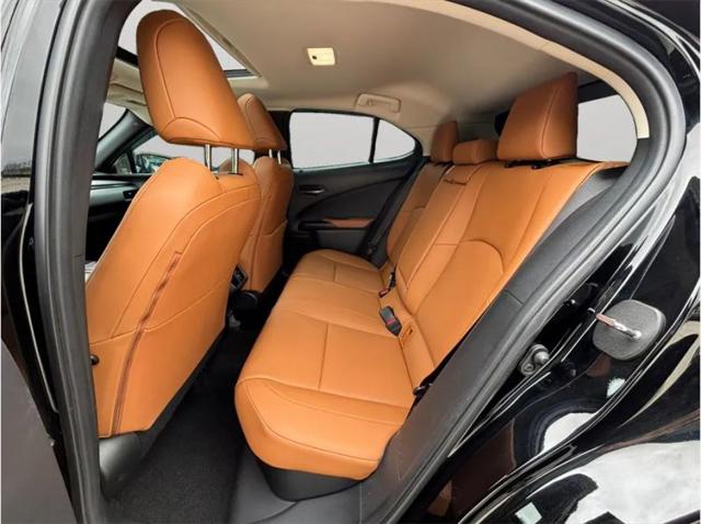 2021 Lexus UX 250h 250h