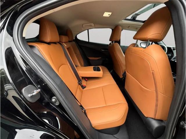 2021 Lexus UX 250h 250h