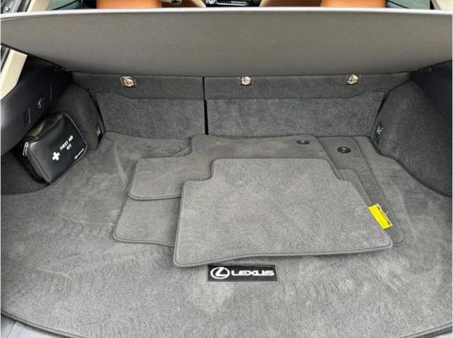 2021 Lexus UX 250h 250h