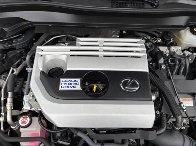 2021 Lexus UX 250h 250h