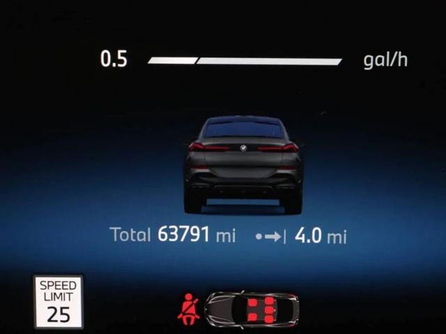 2024 BMW X6 M60i