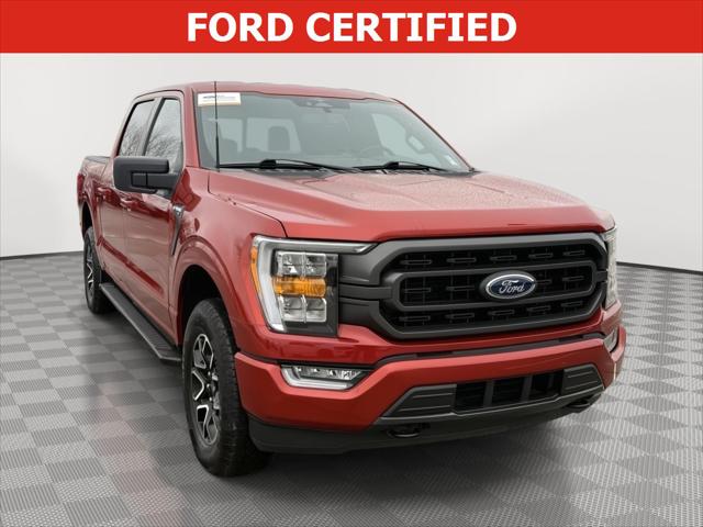 2023 Ford F-150 XLT for sale in Elkhorn, NE