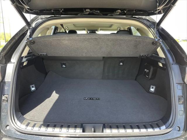 2019 Lexus NX 300h NX 300h