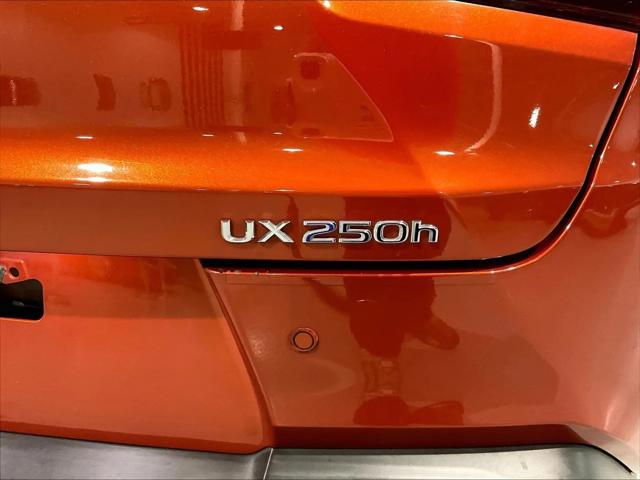 2019 Lexus UX 250h UX 250h