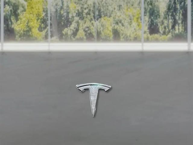 2021 Tesla Model Y Performance Dual Motor All-Wheel Drive