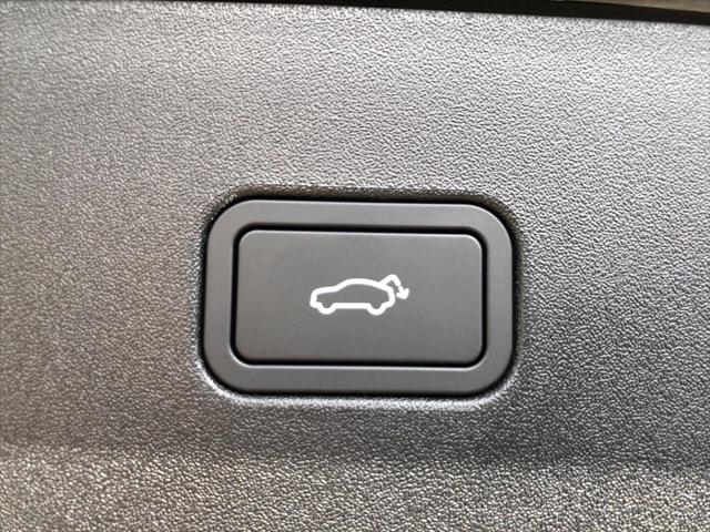 2026 Volvo EX30 Ultra Twin Motor Performance, Fully electric