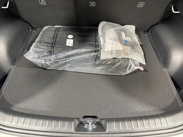 2026 Kia Niro EV Wind