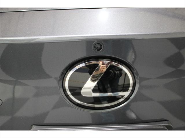 2024 Lexus 300 Premium