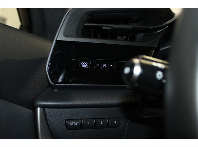 2024 Lexus 300 Premium