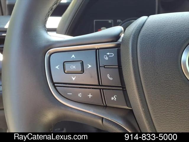 2023 Lexus UX 250h Premium