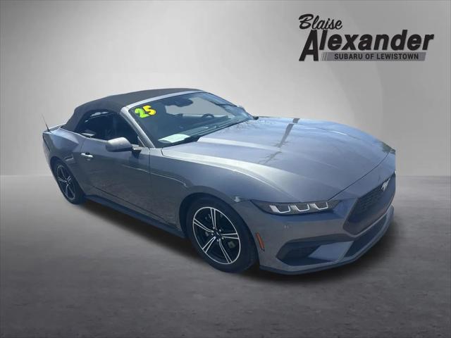 2025 Ford Mustang EcoBoost Premium Convertible for sale in Burnham, PA