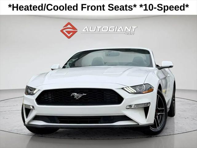 2019 Ford Mustang EcoBoost Premium for sale in Fishers, IN