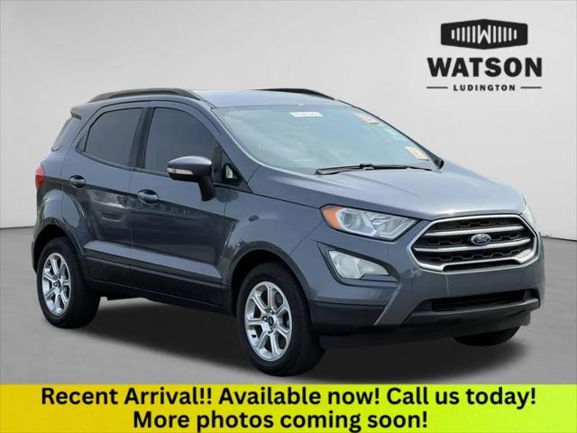2020 Ford EcoSport SE for sale in Ludington, MI